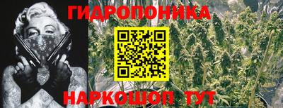 дурь Ливны