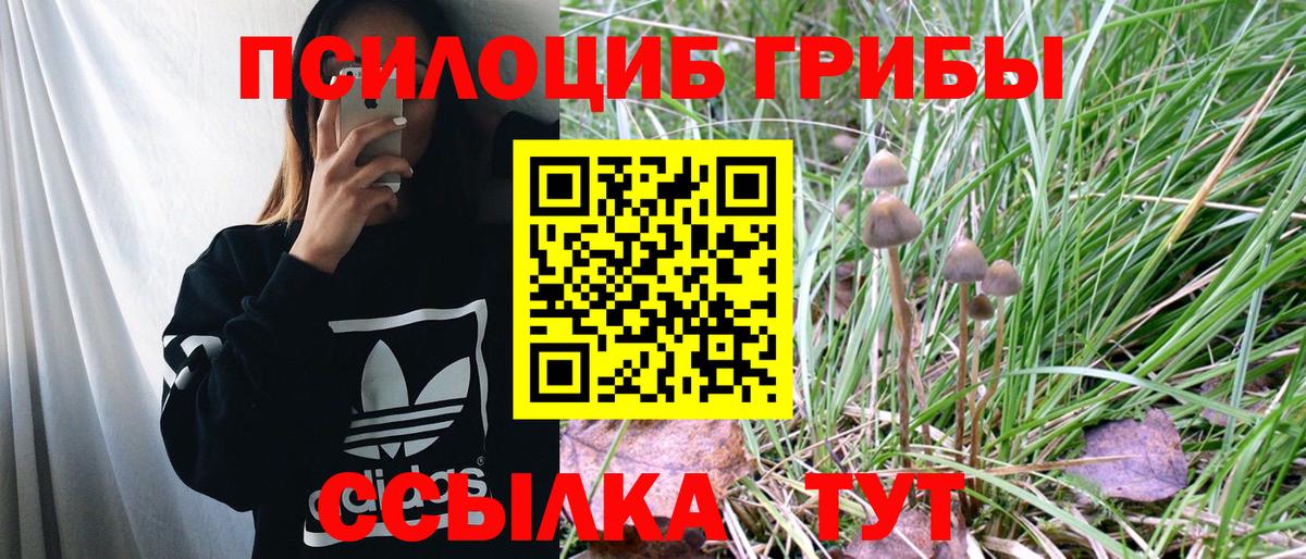 Псилоцибиновые грибы Psilocybine cubensis  Псилоцибиновые грибы MAGIC MUSHROOMS  Вход с VPN  Гулькевичи 