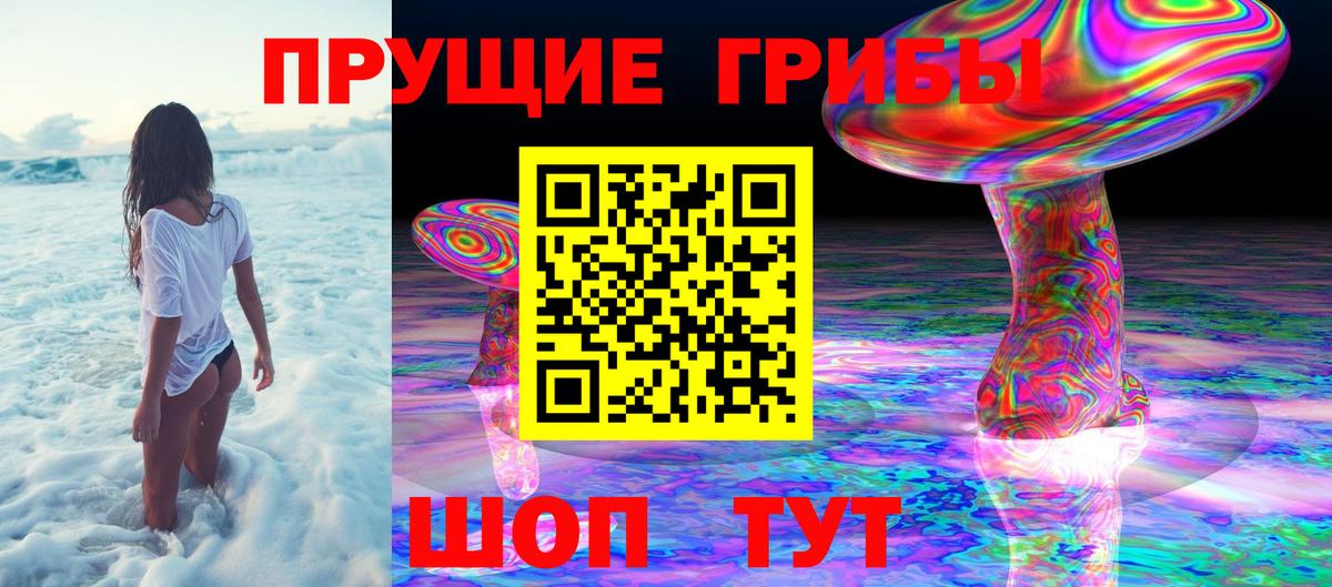 Псилоцибиновые грибы Psilocybine cubensis Гулькевичи